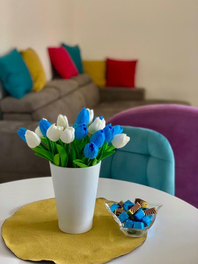 Absolute Apartman Kotor Luaran gambar